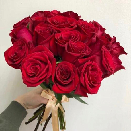 Красные розы 17 шт - Фото 1