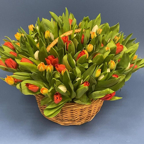 101 разноцветный тюльпан в корзине - Фото 1