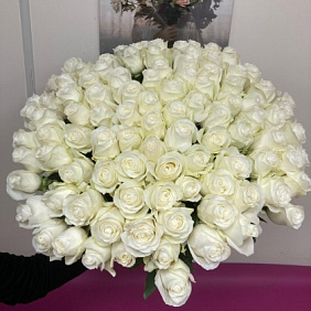 101 шикарная ароматная Роза