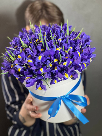 51 ирис в белой шляпной коробке - Фото 1