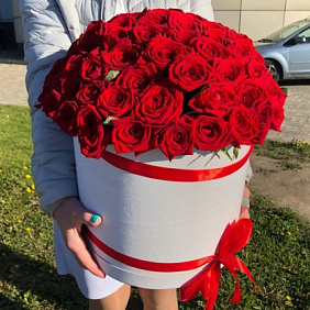 Цветы в коробке (Роза Гран При - 101 шт)