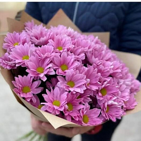 Хризантема кустовая 7 шт