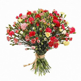 Букет из 51 разноцветной кустовой гвоздики