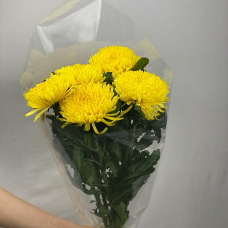 Букет цветов Лучики солнца №169 - Фото 1