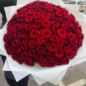 Букет 101 красная роза №204