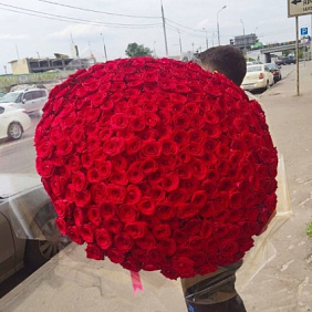 Букет из 301 красной розы 60 см