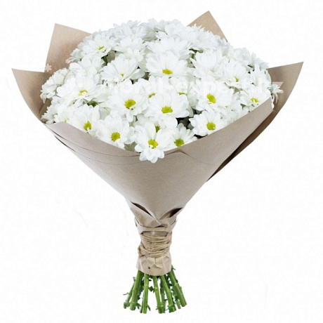 Букет белых хризантем Герда - Фото 1
