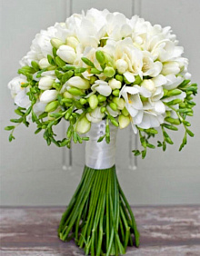 Букет невесты из 51 белой фрезии