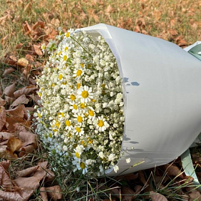 Букет из гипсофилы и ромашек