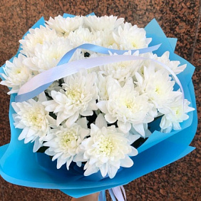 Голубое облако хризантем