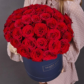51 красная роза в шляпной коробке (Эквадор)