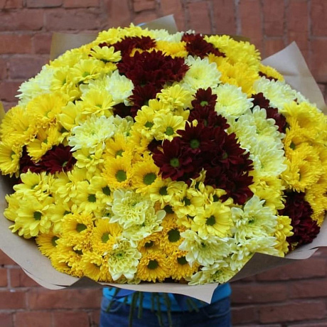 Букет хризантем Ослепительная леди - Фото 1