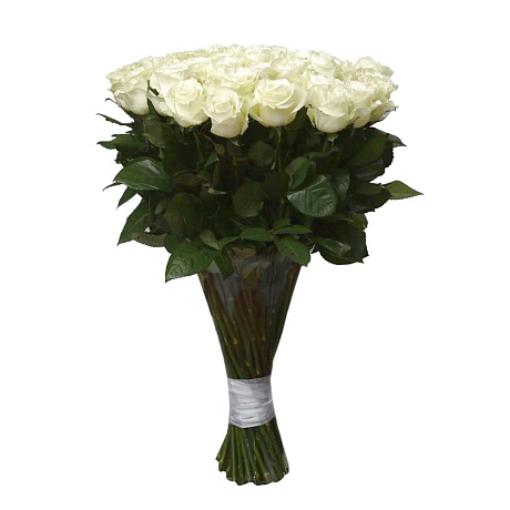 Букет 51 белая роза Премиум Эквадор 70 см. - Фото 1
