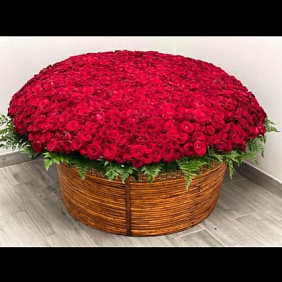 1001 Роза в корзине №161