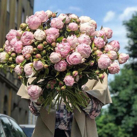 Букет Пионовый рай №164 - Фото 1