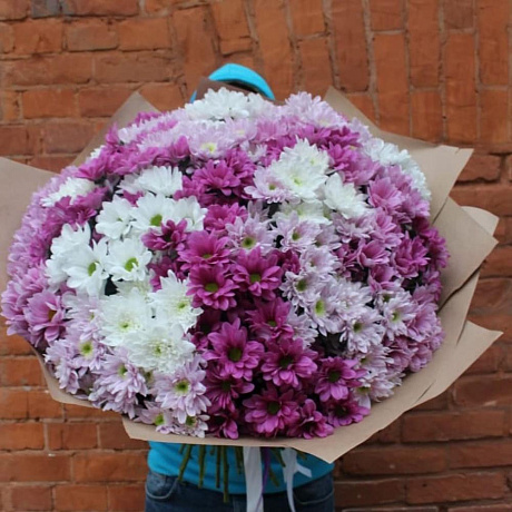 Букет из хризантем Палитра - Фото 1