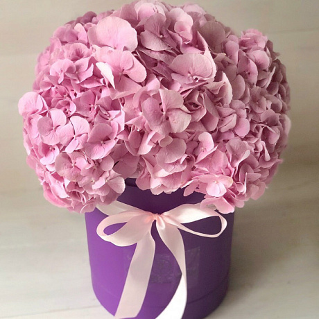3 розовые Гортензии в сиреневой шляпной коробке - Фото 1