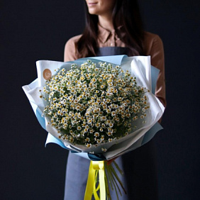 Ромашка полевая  25 штук