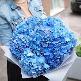 Синяя гортензия №163