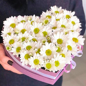 Коробка цветов №172