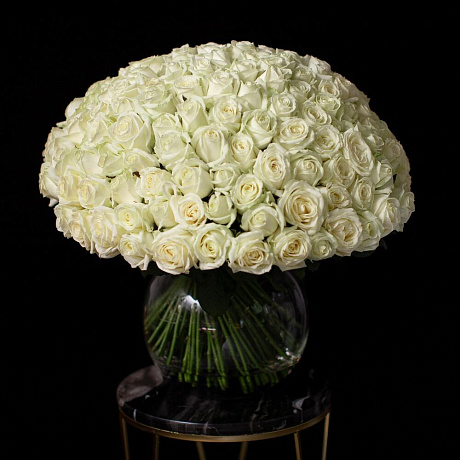 151 белая роза №161 - Фото 1