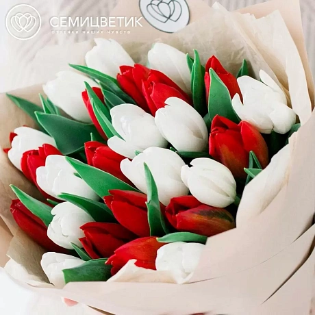 25 красно-белых тюльпанов в белой маленькой шляпной коробке №415 - Фото 1