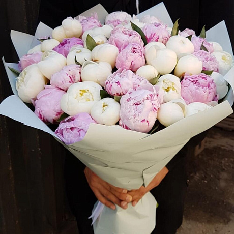 Букет из 51 Пионов №163 - Фото 1