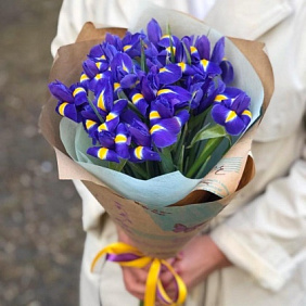 Букет из 15 синих ирисов
