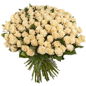 201 кремовая роза 60см