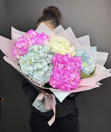 Гортензия премиум микс - Фото 1