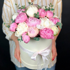 25 пионов в коробке №160