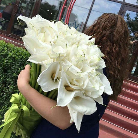 Букет цветов Белые каллы №164 - Фото 1