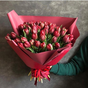 Тюльпаны бордовые №160