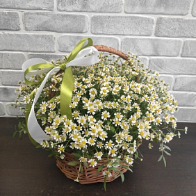 Корзина ромашек №161