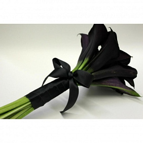 Букет из 10 чернильных калл Букет темных калл Каллы