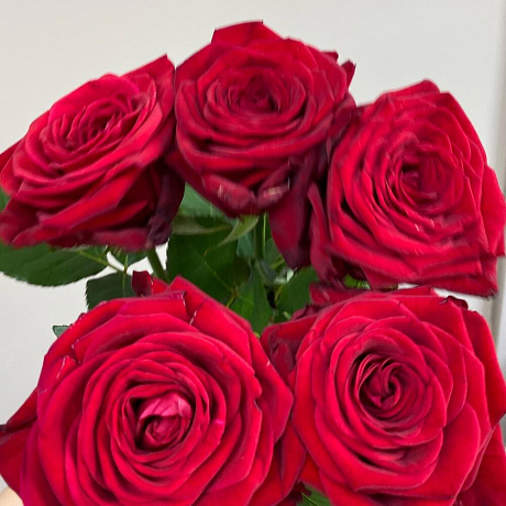 Букет розы алые №168 - Фото 1
