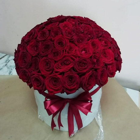 41 красная роза в каробке - Фото 1