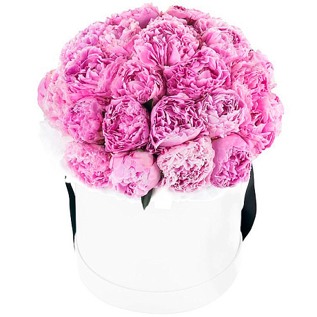 Розовые пионы 25 штук в средней шляпной коробке - Фото 1