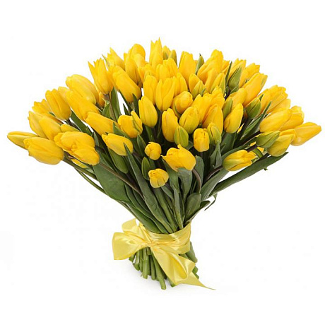 75 жёлтых тюльпанов - Фото 1