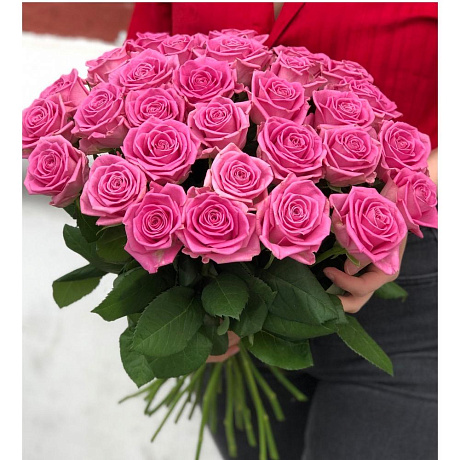 Розы Аква - Фото 1