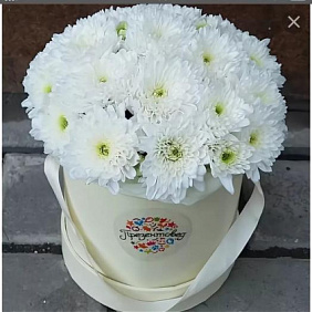 15 Белых Ромашковых хризантем в большой белой коробке №245