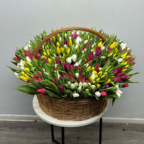 501 тюльпан №41 - Фото 1