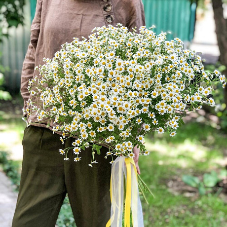 Букет цветов Ромашковое поле №173 - Фото 1