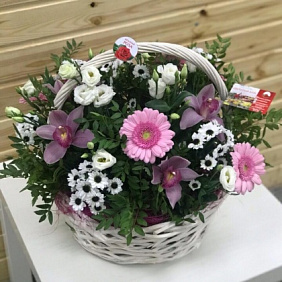 Букет "Зефир" №188
