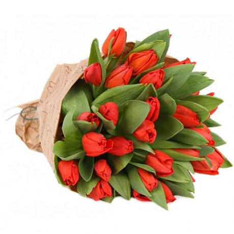 Букет из 25 красных тюльпанов - Фото 1