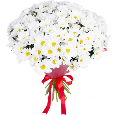 Букет из белых хризантем №165 - Фото 1