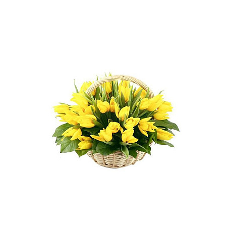Корзина из 101 желтого тюльпана - Фото 1