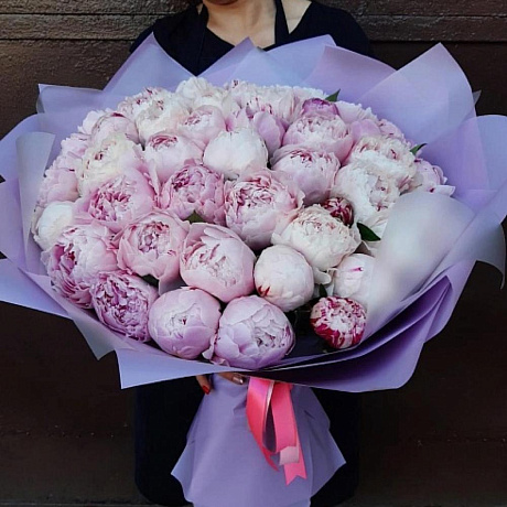 Букет из 51 пиона №167 - Фото 1