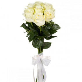 Букет из 7 белых роз под ленту