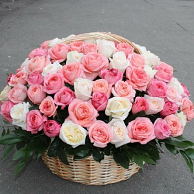 101 пионовидная Роза №160